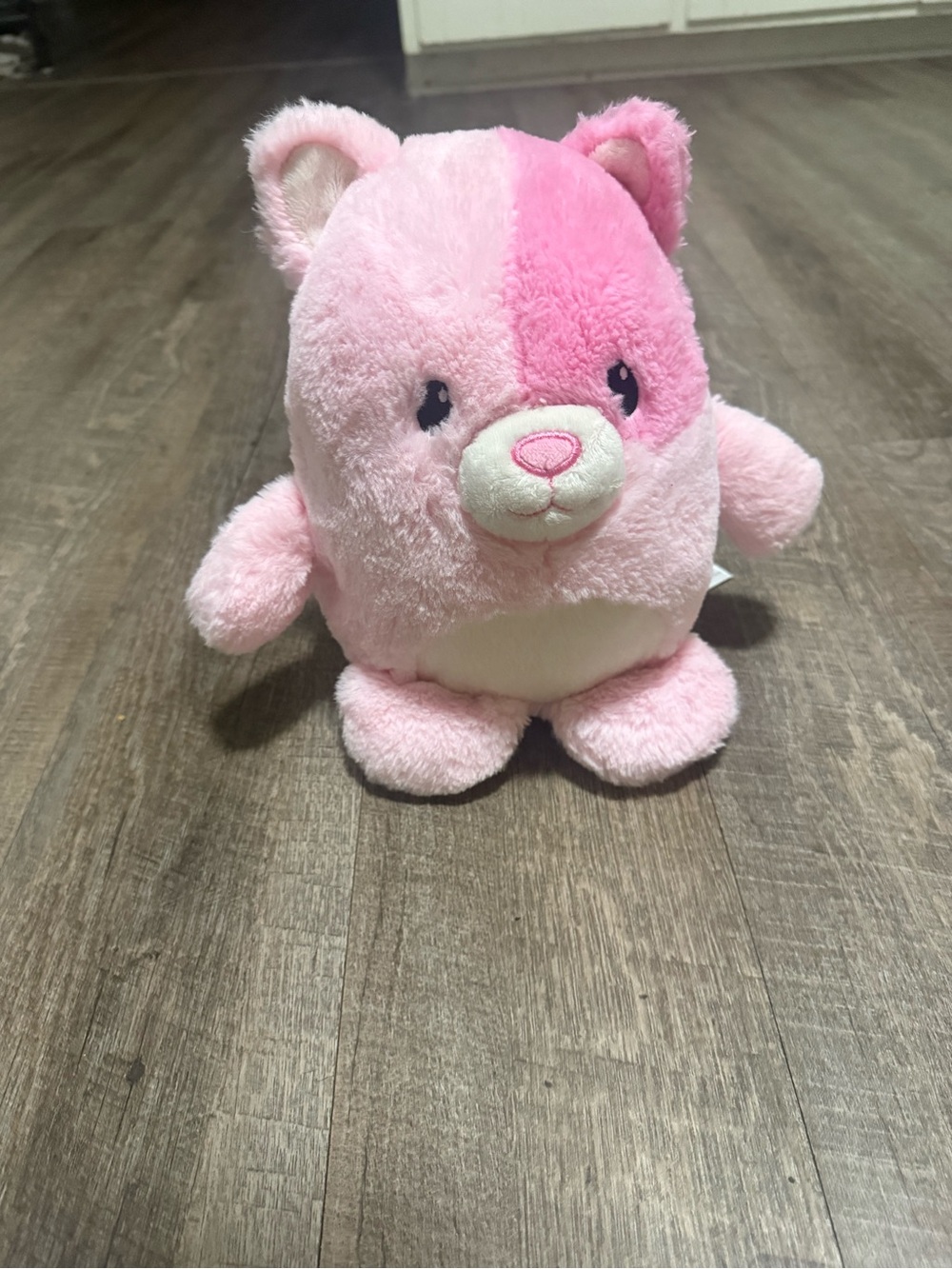 Animal Adventure transformable Pink Plush cat to blanket